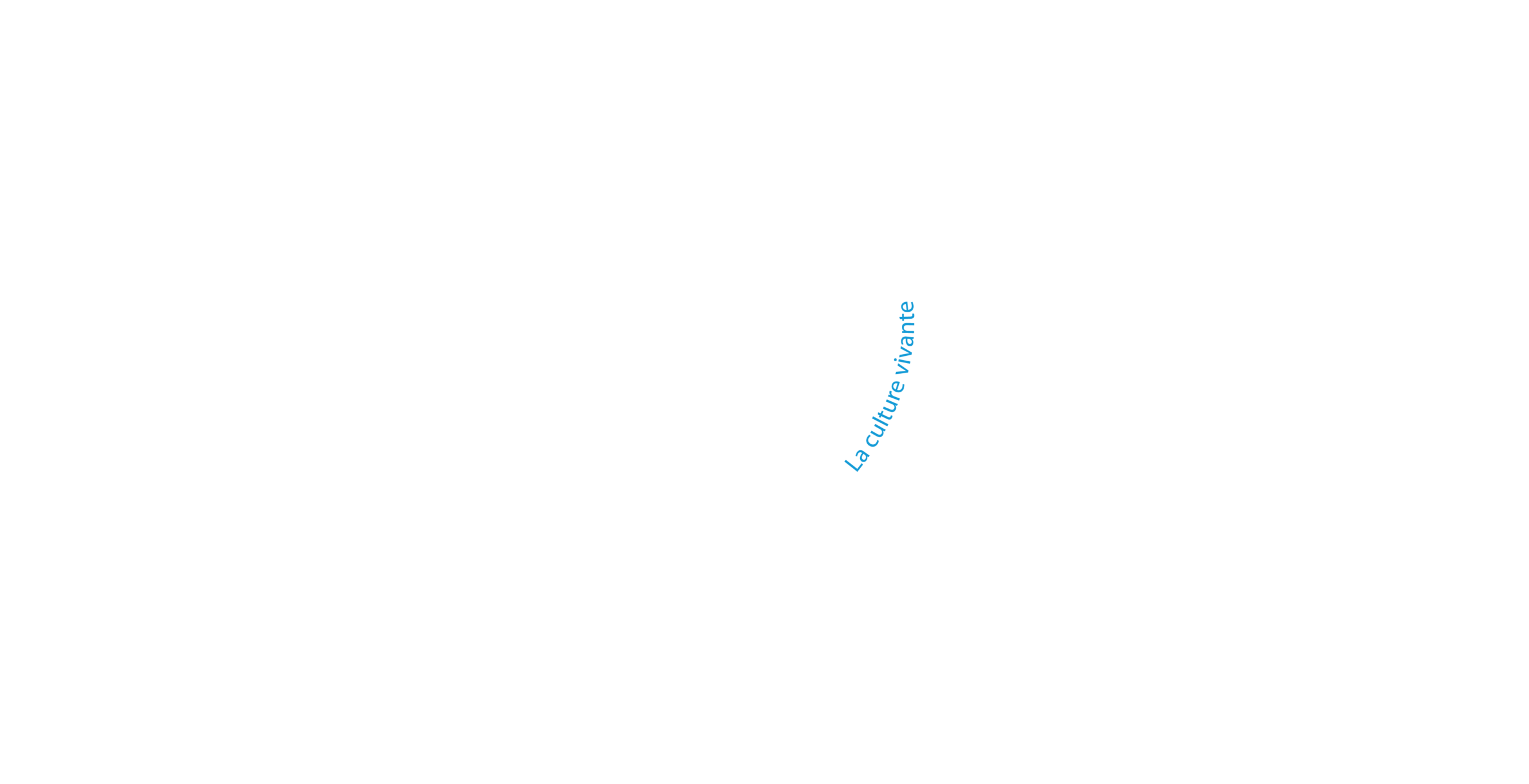Ascave